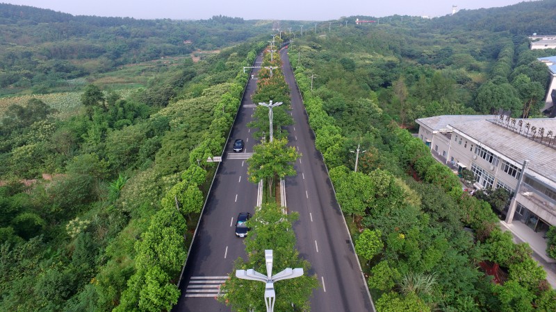 綿陽機(jī)場路改造提升（黑化）工程