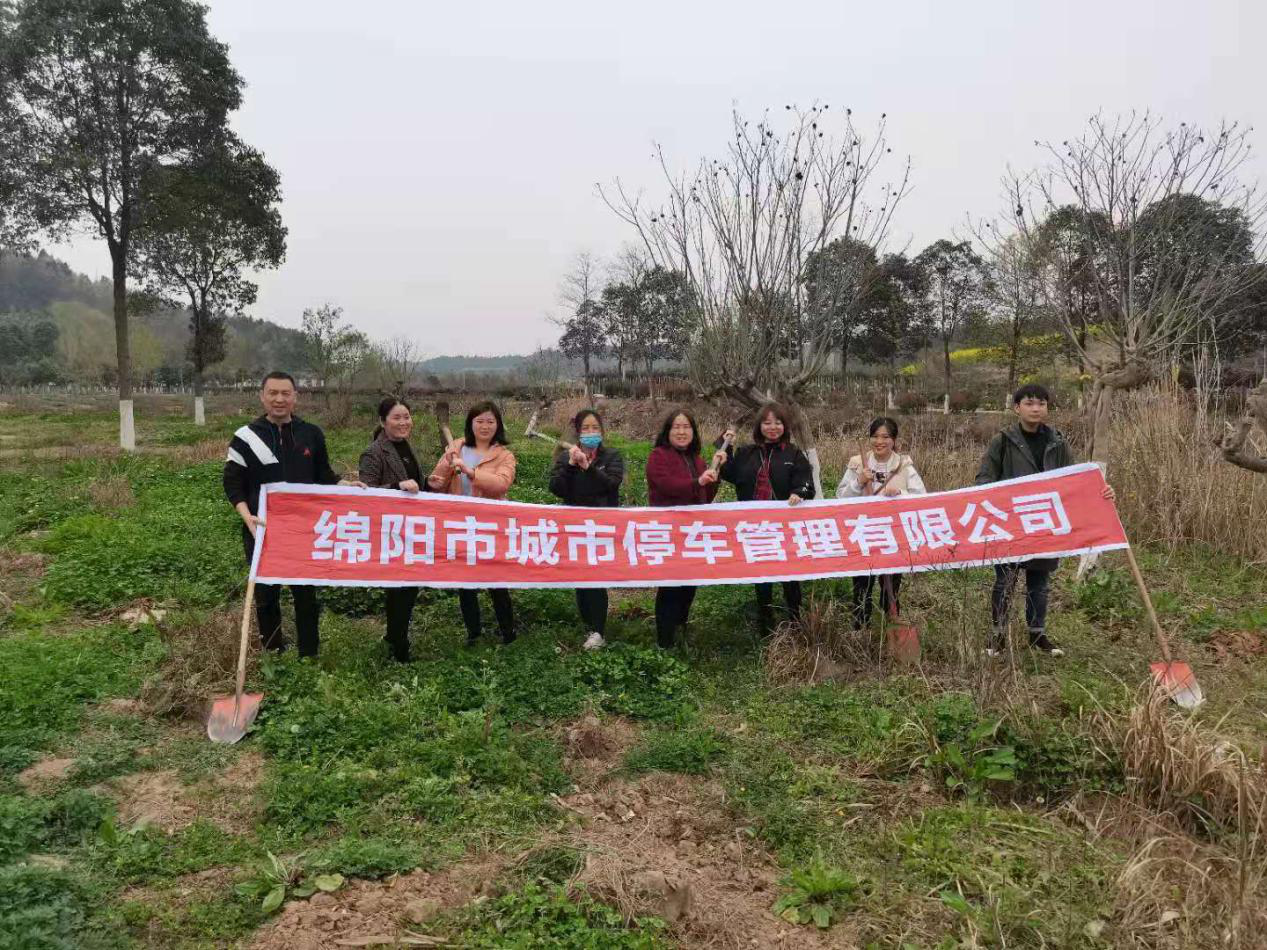 植樹(shù)活動(dòng)1 植樹(shù)活動(dòng)1